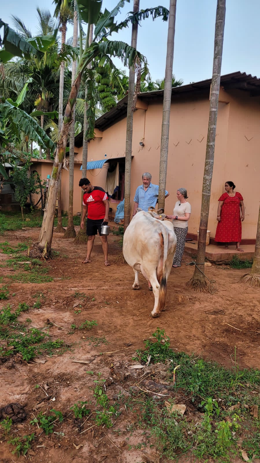 Village Dairy Story