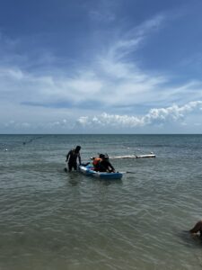 Exploring Sri Lanka: A Comprehensive Guide to Top Tourist Providers